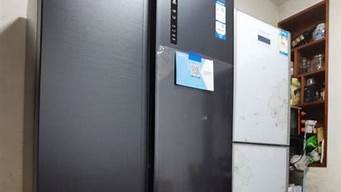 lg双开门冰箱如何_lg双开门冰箱如何调温度_1